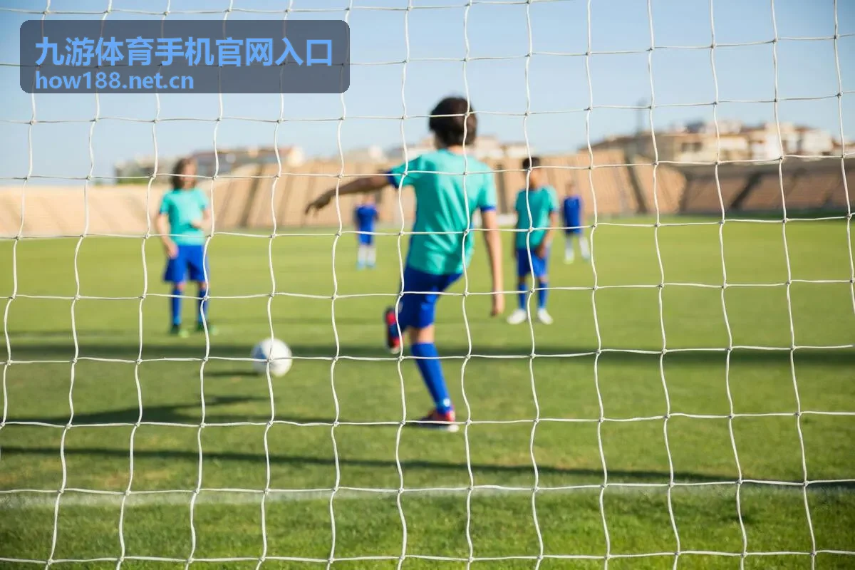 九游体育手机官网入口页面显示问题的排查顺序示意